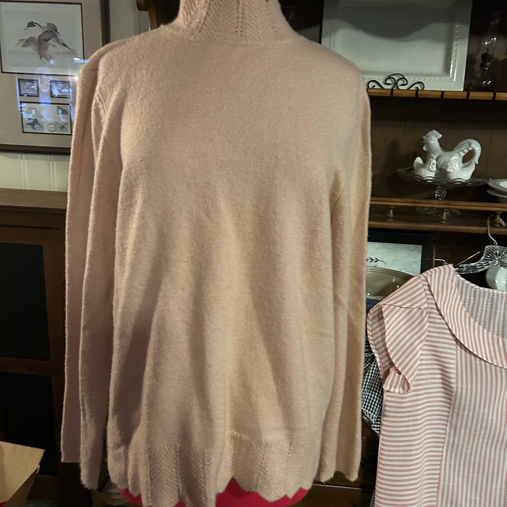 Liz Claiborne Soft Blush Turtleneck Sweater